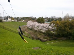 御呂戸川緑地　愛護センター横